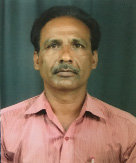 Shri. Bipin Jha